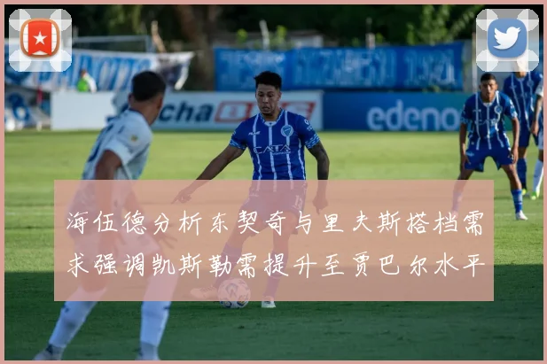 海伍德分析东契奇与里夫斯搭档需求强调凯斯勒需提升至贾巴尔水平