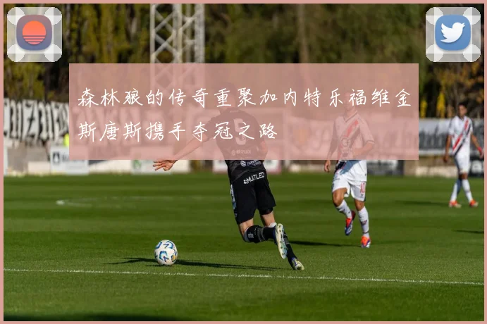 森林狼的传奇重聚加内特乐福维金斯唐斯携手夺冠之路
