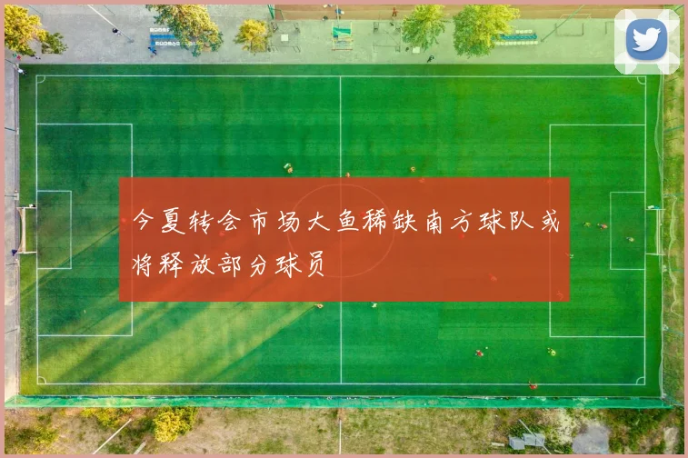 今夏转会市场大鱼稀缺南方球队或将释放部分球员