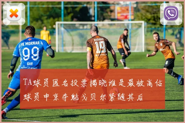 TA球员匿名投票揭晓谁是最被高估球员申京夺魁戈贝尔紧随其后